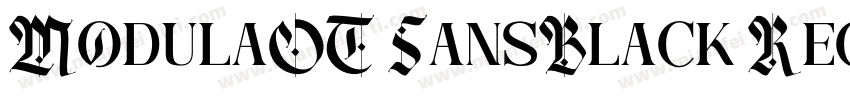 ModulaOT SansBlack Regular Version字体转换